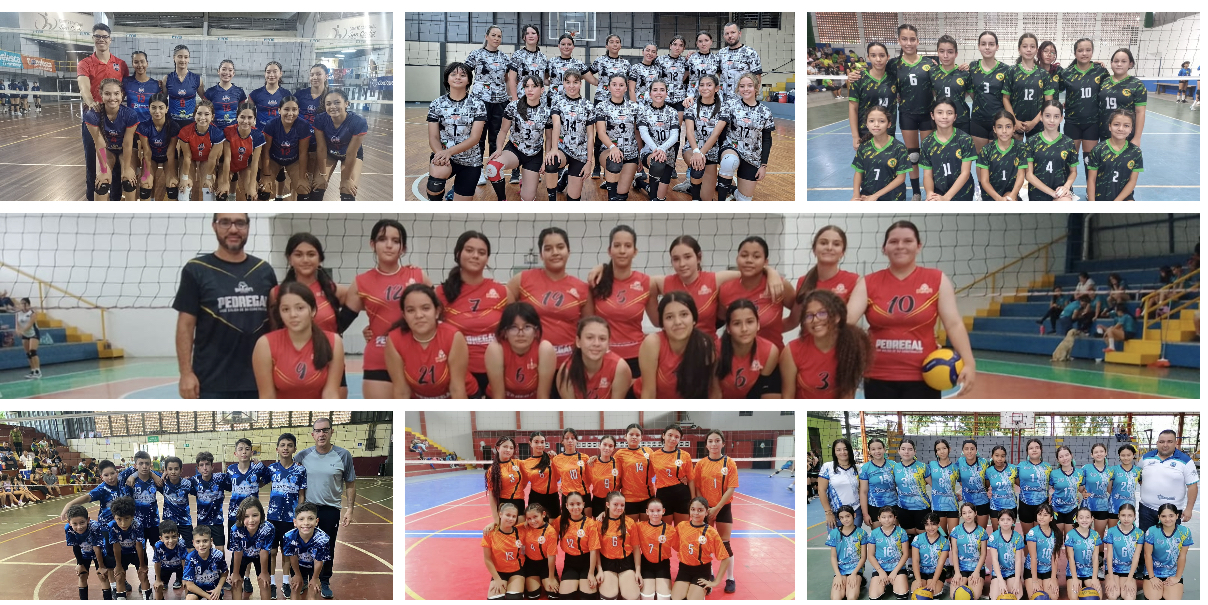 Así avanzan los Torneos de Liga Menor