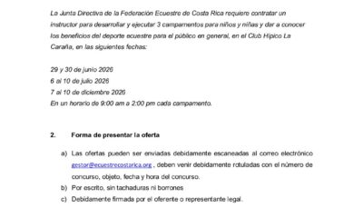 Licitación de entrenador